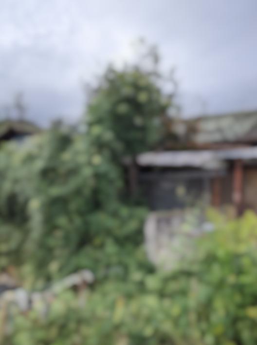 豊城町（4筆）空き家売却体験02