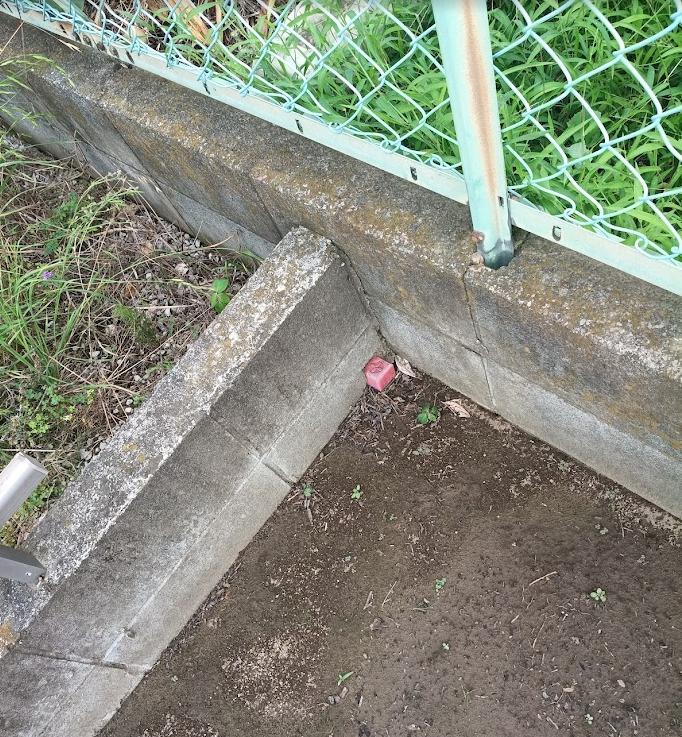 お隣との境界杭