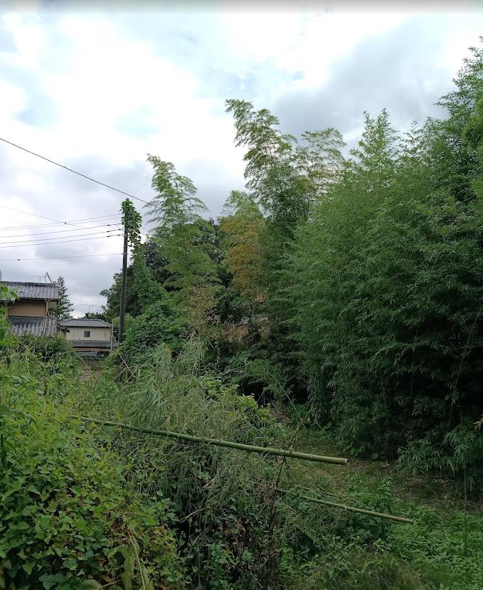 草木や竹木が繁茂する土地